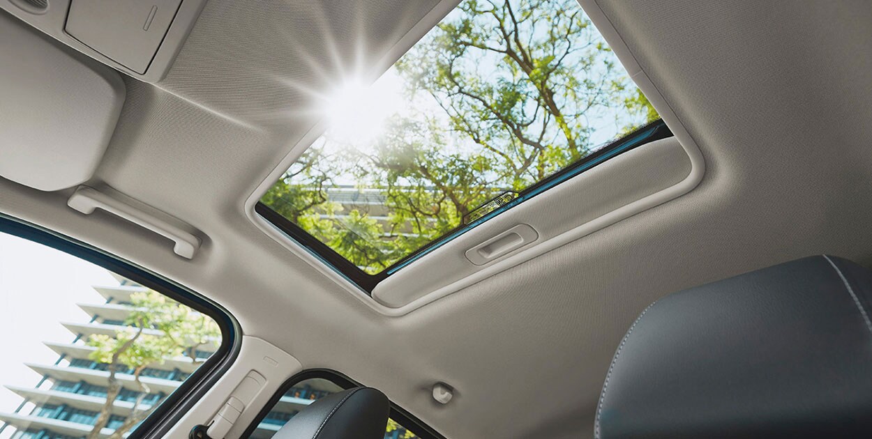Conoce el Quemacocos Eléctrico equipado en Ford EcoSport 2021