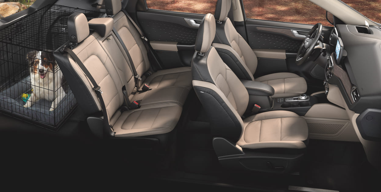 Camioneta SUV Ford Escape Híbrida 2022: Elegante Diseño de Asientos en Piel y Techo Panorámico