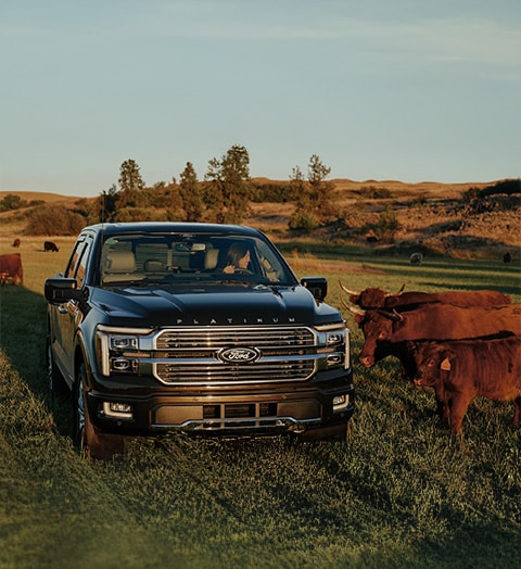 Distintivos de Lujo en versión Híbrida de Ford Lobo 2026, Pickup cómoda y Premium