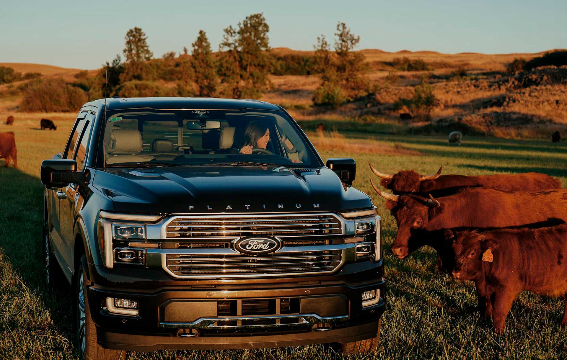 Distintivos de Lujo en versión Híbrida de Ford Lobo 2026, Pickup cómoda y Premium
