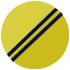 Amarillo Icónico