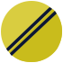 Amarillo Icónico