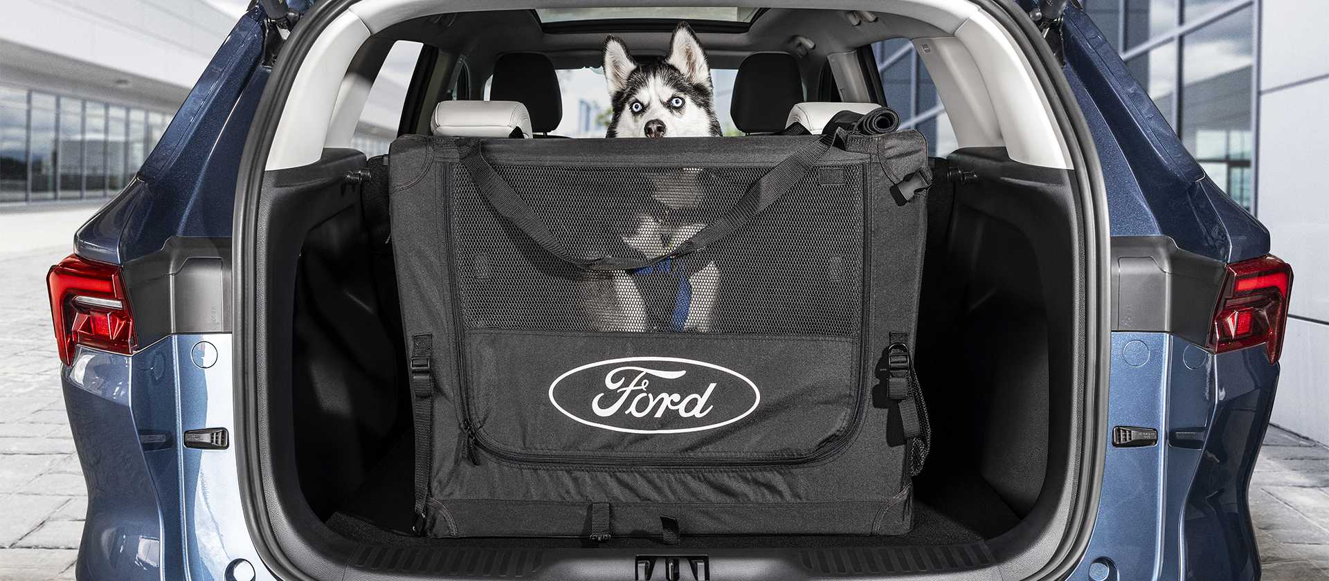 Ford Territory con Contenedor para Mascotas diseñado para un Transporte más Seguro y Cómodo