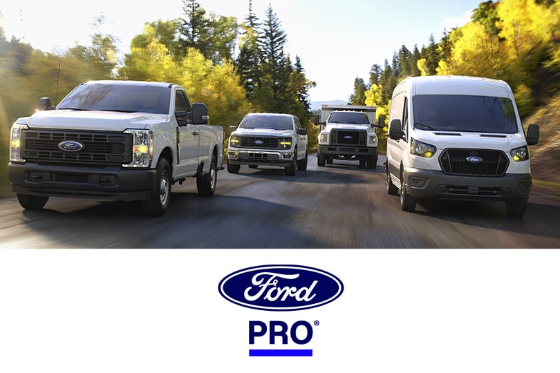 Ford Pro