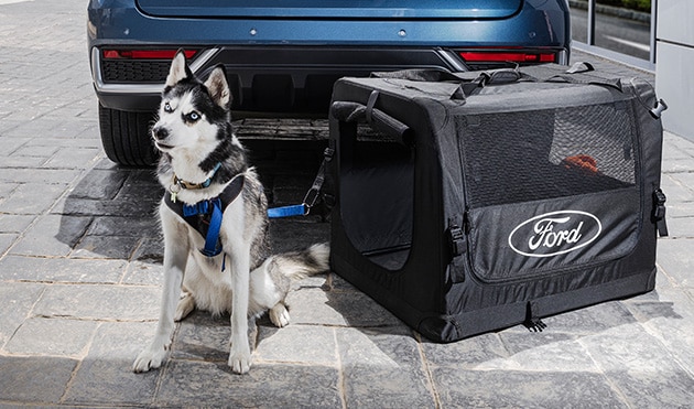 Descubre la Gama Completa de Kits y Accesorios Originales para Mascotas y Equipa tu Ford