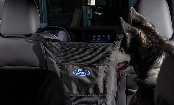 Accesorios Originales para Mascotas en Vehículos Ford, Protégelos con Cubreasientos y barreras