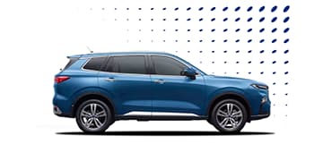 Accesorios Originales para Camioneta SUV Ford Territory de Almacenamiento, protección y seguridad 