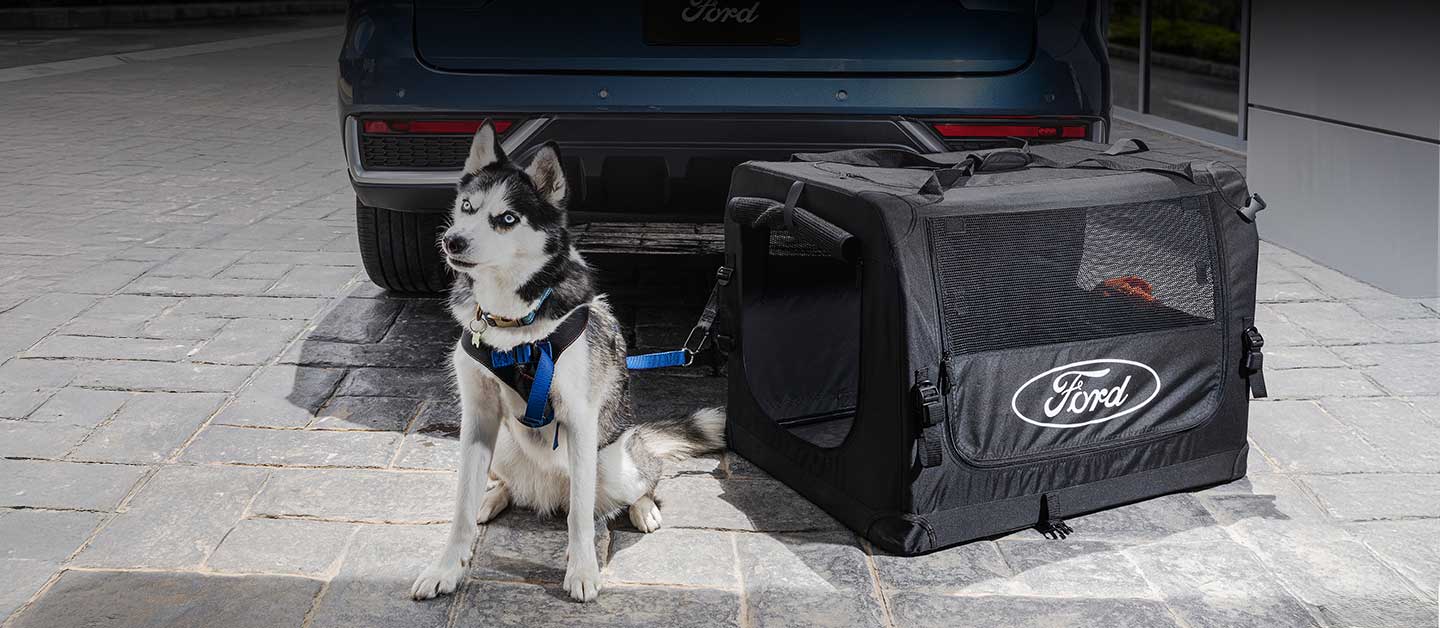 Equipa tu Vehículo Ford con Kits y Accesorios para Mascotas y Viaja Seguro y Cómodo