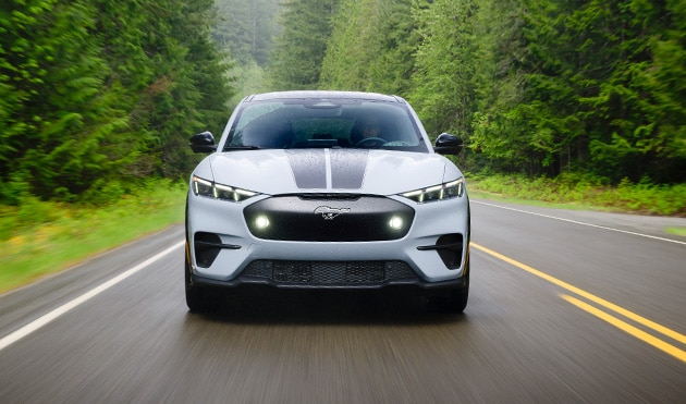 Personaliza tu Ford Mustang Mach-E con Kits y Accesorios para Mascotas Ideales para tus Viajes