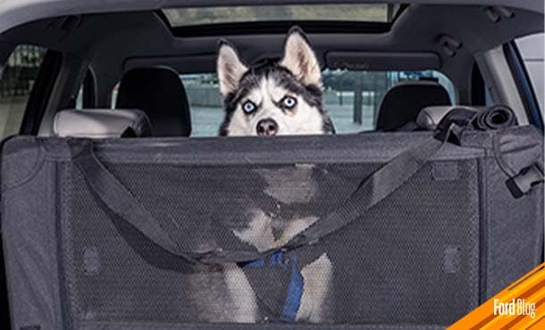 Contenedor para Mascotas, Accesorio Original para transportar a tu perro en tu SUV Ford Territory