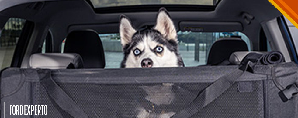 Arneses, Contenedores, Transportadoras y Barreras de Perros para Camioneta SUV Ford Territory