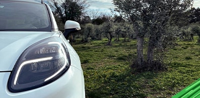 Compolive es el proyecto con Ford que busca usar materiales reciclados en partes de Vehículos