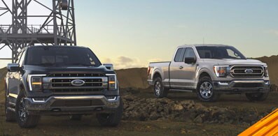 Conoce la variedad de Pickups Ford y el gran equipamienbto que se adaptan a cualquier negocio
