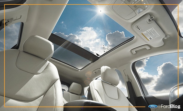 Limpia los vidrios al final de tu rutina, con líquido libre de amoniaco y papel periódico