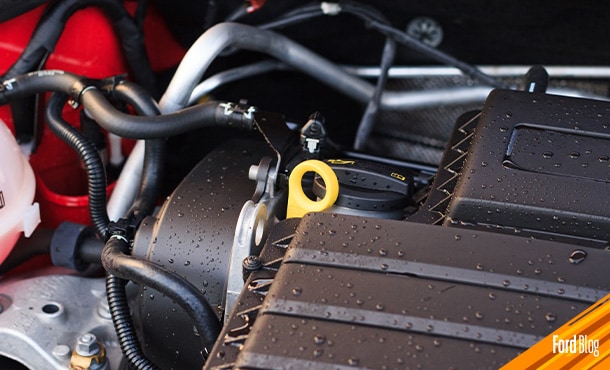 Productos no aptos resecan el plástico,dejando sin protección los componentes de tu vehículo Ford