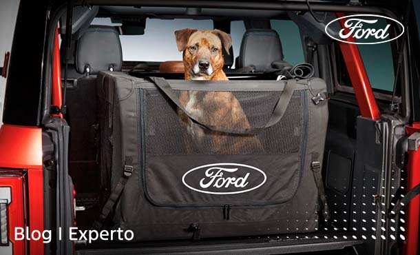 La familia completa, incluyendo las mascotas, se divertirá este Día del Niño con una SUV Ford