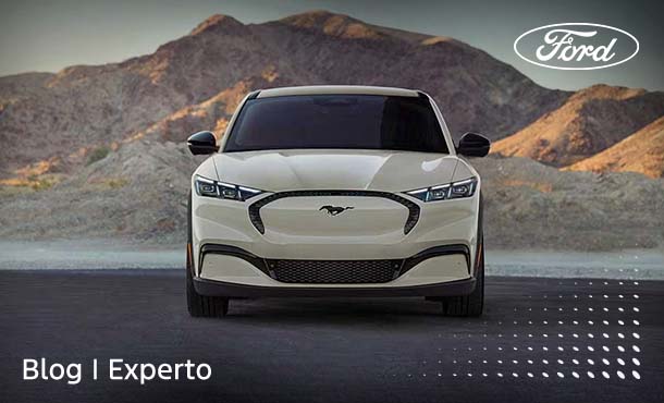 El papá sport necesita un Ford Mustang Mach E que vaya con su estilo de vida
