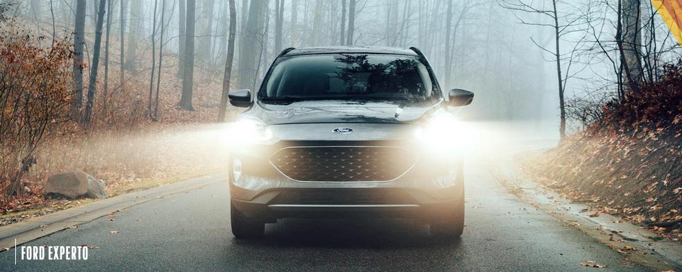 Conoce qué hacer y qué no en una carretera con neblina o humedad