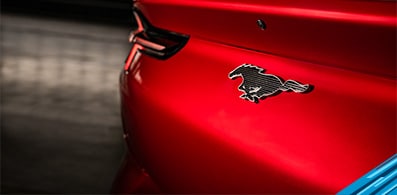 ¿Qué auto Ford Mustang va contigo: GT, Mach1, Bullitt o GT500? Haz nuestro test para descubrirlo