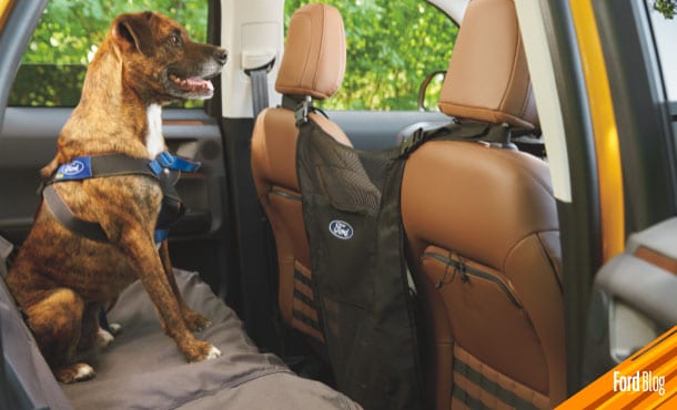Viaja seguro en tu SUV Ford equipada con Contenedor Thule y la Barrera para Mascotas Coverking