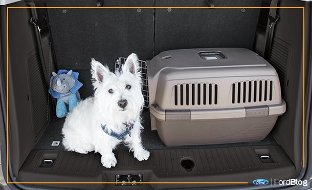 Las camionetas Ford llevan en su gran espacio todo lo que necesites transportar