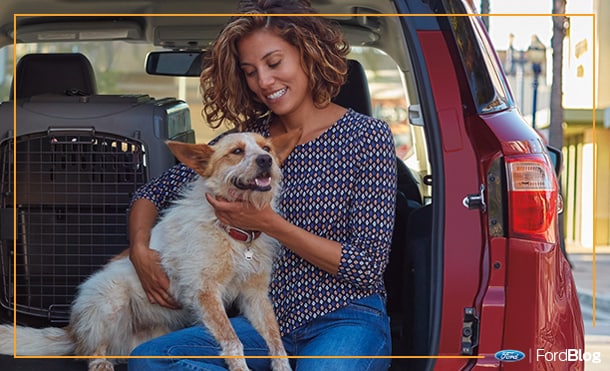 Ford Ecosport 2019, SUV ideal para pasear a tu perro con comodidad