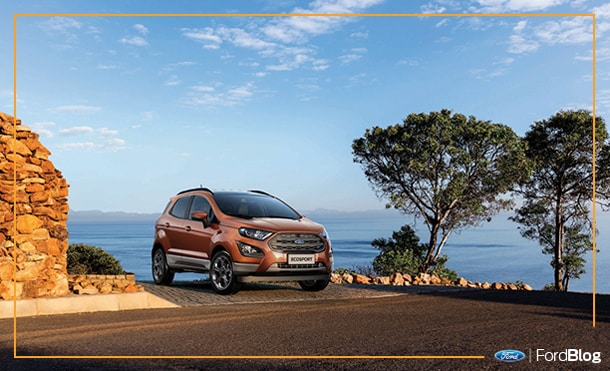 Recorre todos los terrenos con tu mascota en tu auto Ford con seguridad y comodidad