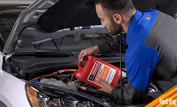 Existen varias clases de aceite según sus características. ¡Descubre cómo identificarlos!