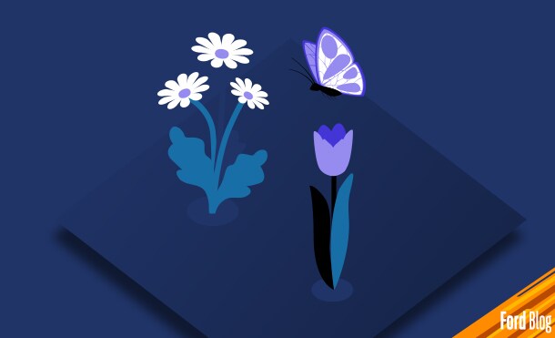 Descubre sencillos pasos para mantener tu hogar en armonía en Cuarentena con Ford ProPrints