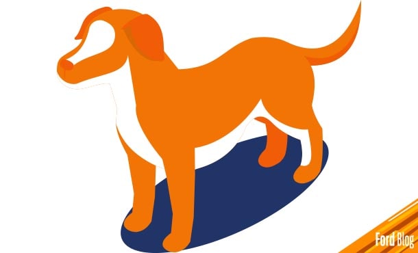 Conoce con Ford ProPrints algunas recomendaciones para cuidar de tus mascotas