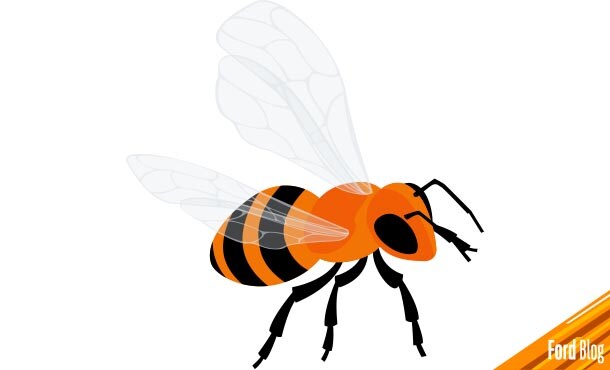 Descubre datos curiosos sobre las abejas en cuarentena con Ford ProPrints