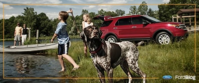 Descubre las mejores recomendaciones para ir de paseo con tu mascota de manera segura en tu auto