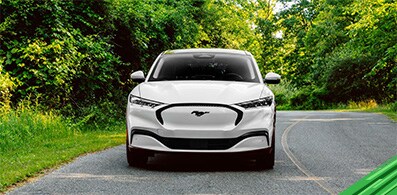 Ford Mustang Mach-E, nombrado Car of The Year por Car and Driver