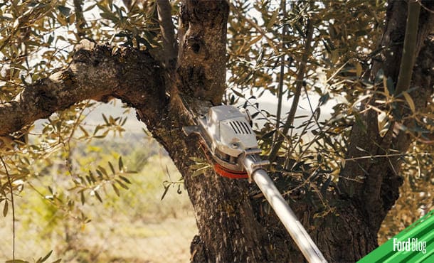 Las fibras hechas del olivar y plástico reciclado darán un diseño único a las piezas Ford