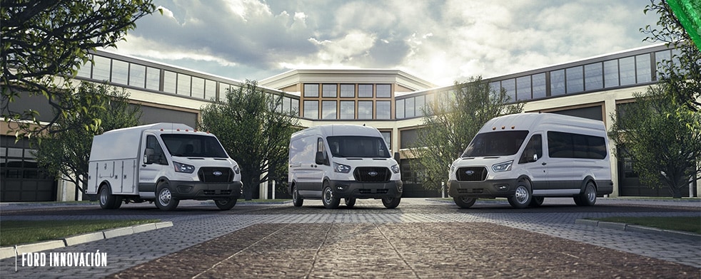 Conoce los diferentes niveles de servicios para las necesidades de cada negocio. Descúbrelo