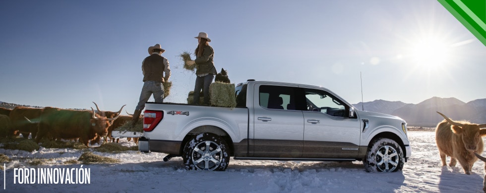 Ford F-150 la Camioneta Pickup de Trabajo pesado que ofrece gran potencia y rendimiento
