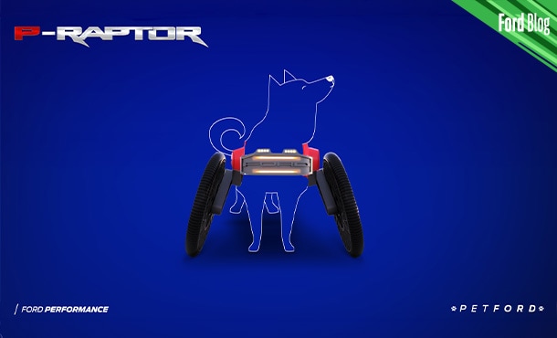 P-Raptor es el Vehículo Ford que ayuda a perros con alguna discapacidad a moverse libremente