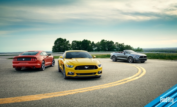 Mustang Club México de las organizaciones más reconocidas entre coleccionistas de automóviles