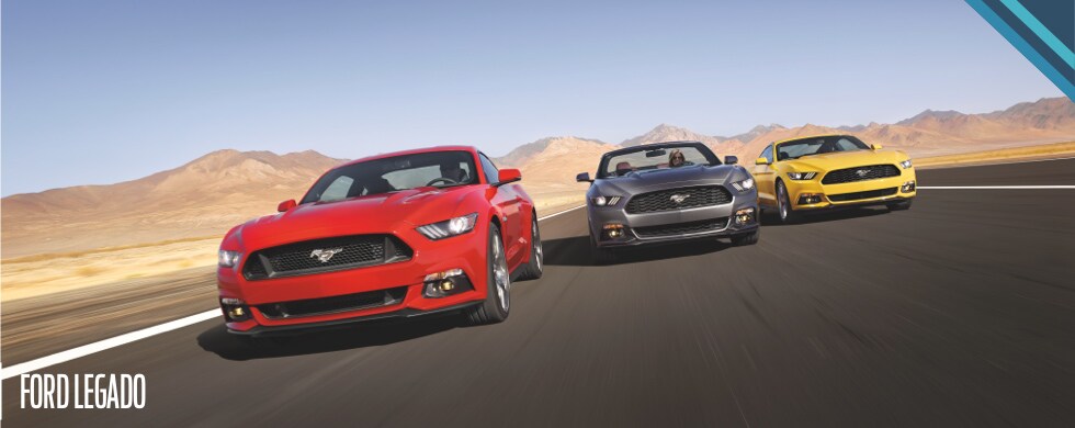 Ford Mustang el auto más vendido del mundo, celebra 40 años de Mustang Club México