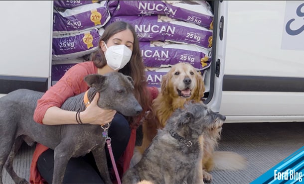 Ford realizó una iniciativa para ayudar a perritos de la calle, convirtiendo likes en comida