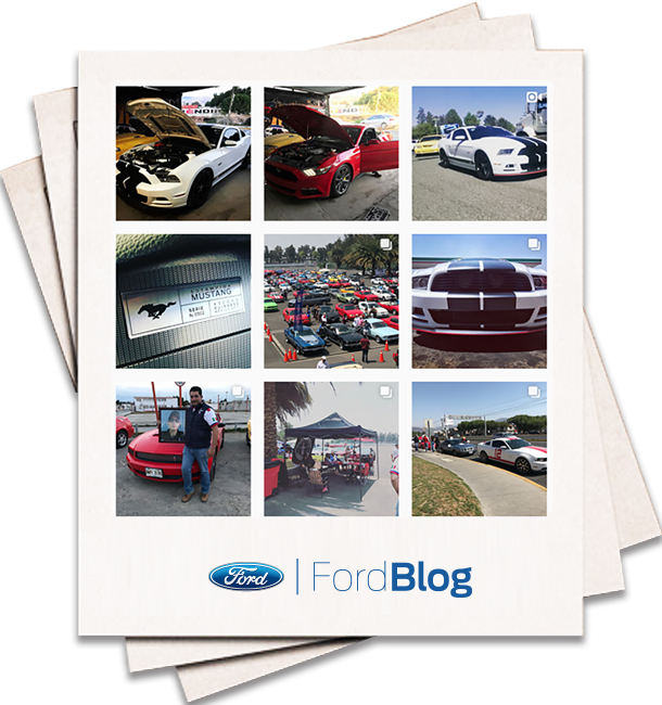 Stangs Pachuca, Hidalgo, un club para conocedores de Mustang en México