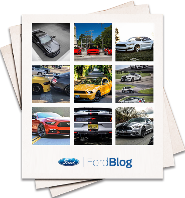 Conoce las fotos de la comunidad global de búsqueda de mustangs únicos y espectaculares