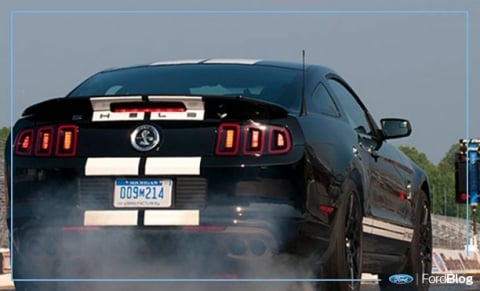 ford mustang gt500 shelby cobra 2010