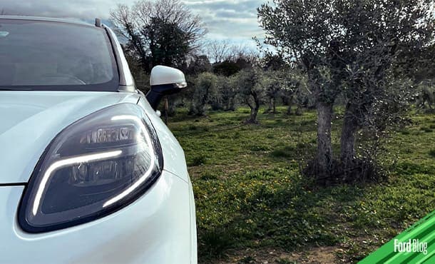 Conoce el proyecto que buscar convertir desechos de tala en partes de Vehículos Ford