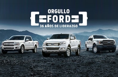 Ford Transit Chasis 2020: Nota Cuál es el mejor camión para trabajar