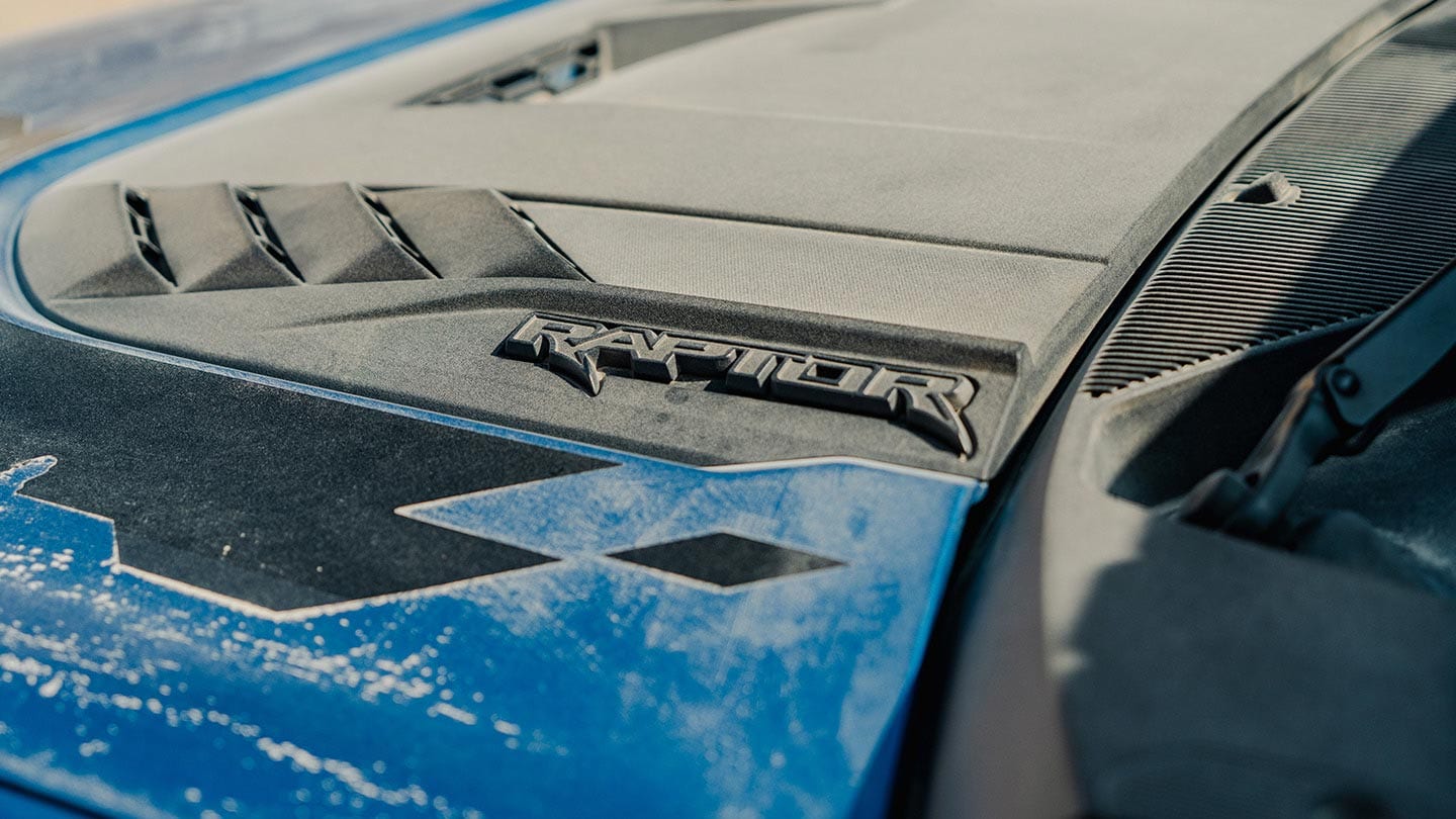 Gráficos Distintivos de Raptor®