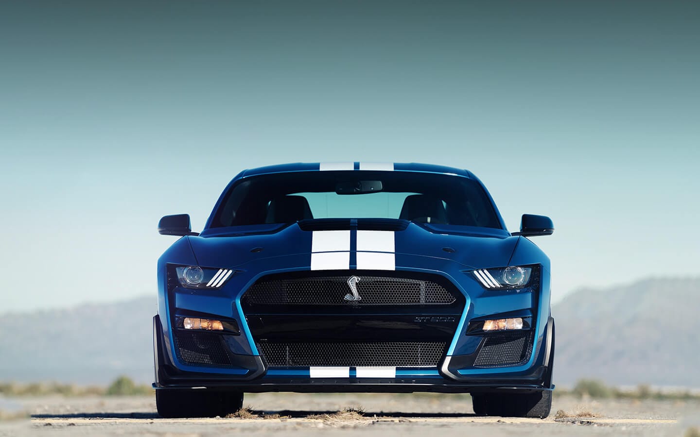 Shelby GT500 2021 El Más Poderoso Ford México