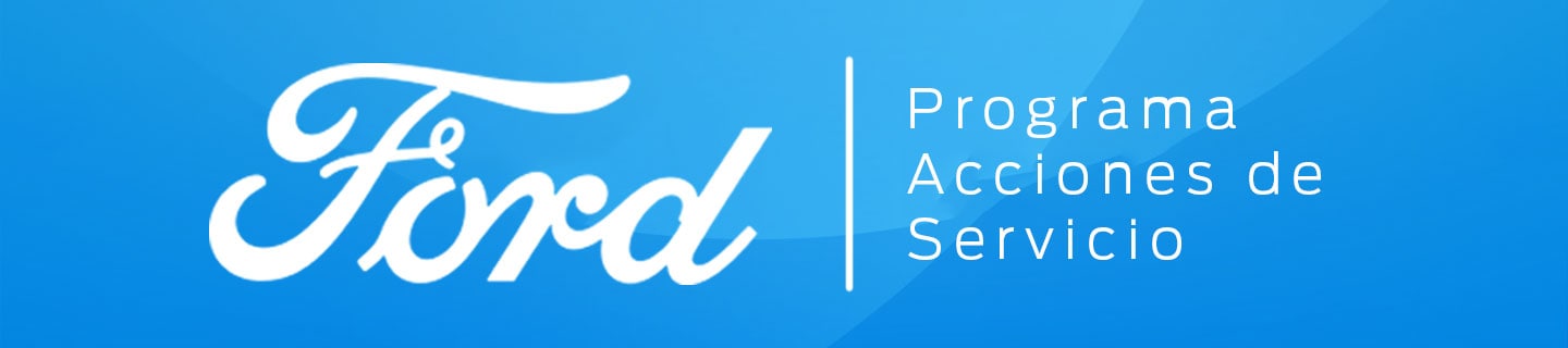 programa acciones servicio