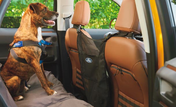 Barrera Parte Trasera Covertcraft Kit Original de Accesorios para Mascotas Ford Bronco Sport