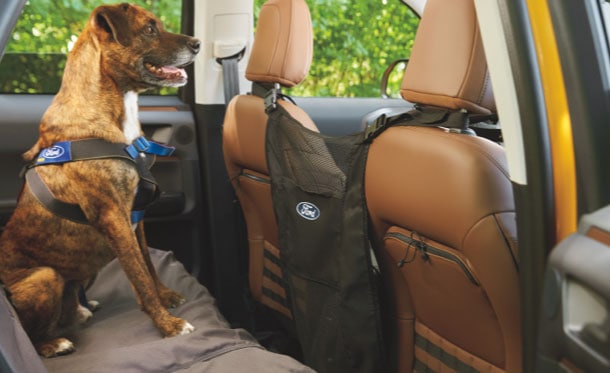 Barrera Covercraft en Kit de Accesorios Originales para Mascota de Ford Bronco 4 Puertas